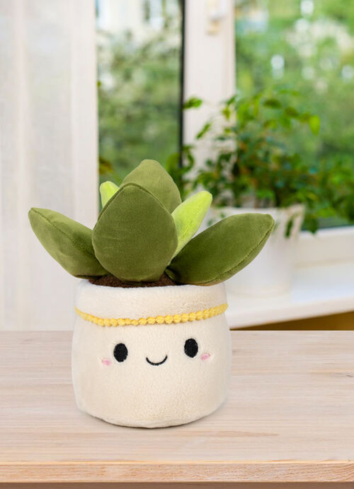 PELUCHE SOFT GARDEN - CACTUS SUCU 20 CM